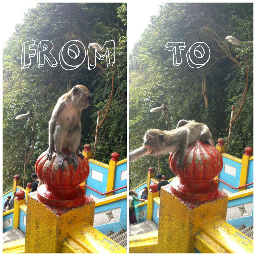 Batu Caves Monkey