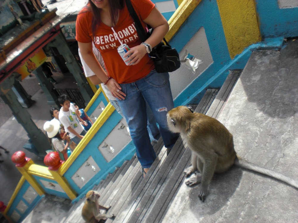 Batu Caves Monkeys