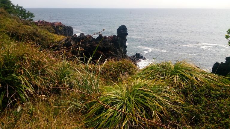 Jeju Island Shores