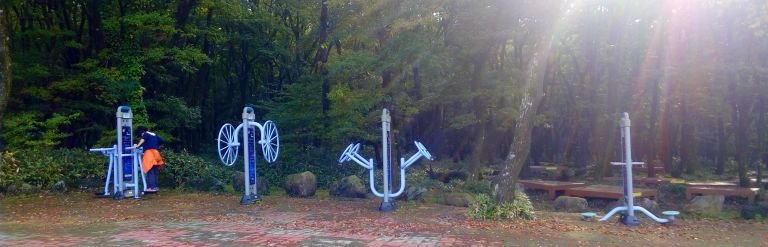 Korean Playground