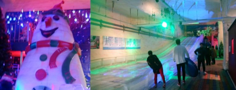 Ice Museum